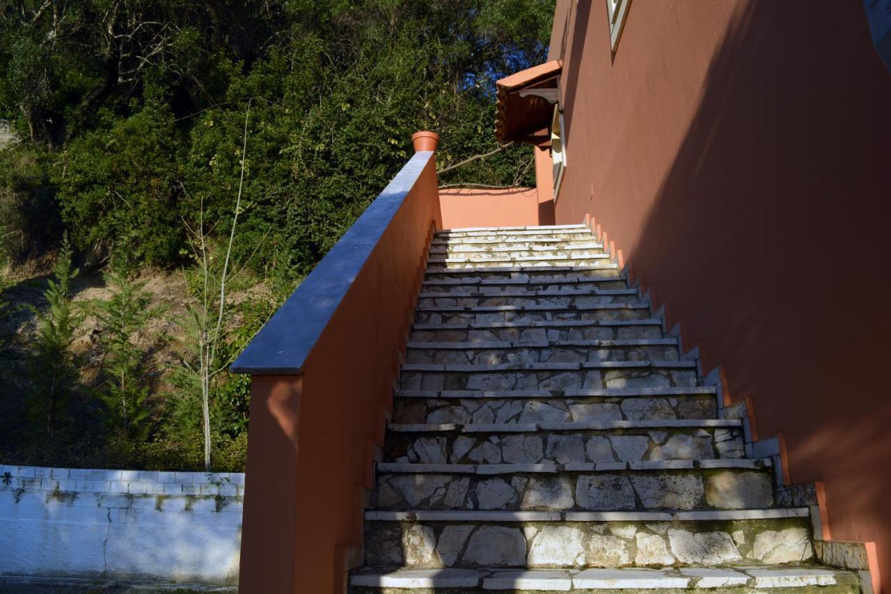 Papadatos Apts With Amazing View - 5Mins From The Beach Kontogialos Exteriör bild